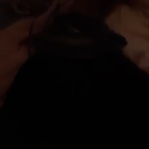 COPY - Stafford fox fur black coat